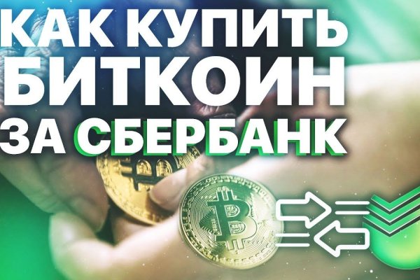 Kraken kraken link24 info